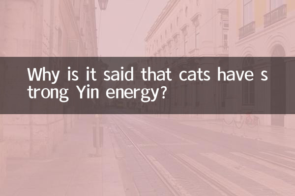 Why is it said that cats have strong Yin energy?