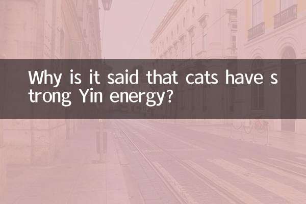 Why is it said that cats have strong Yin energy?