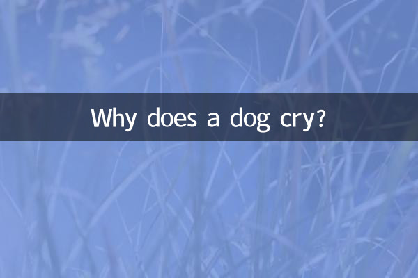 Warum weint ein Hund?