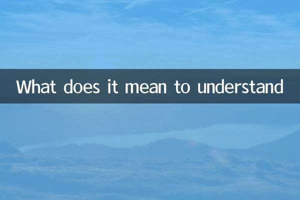 What does it mean to understand