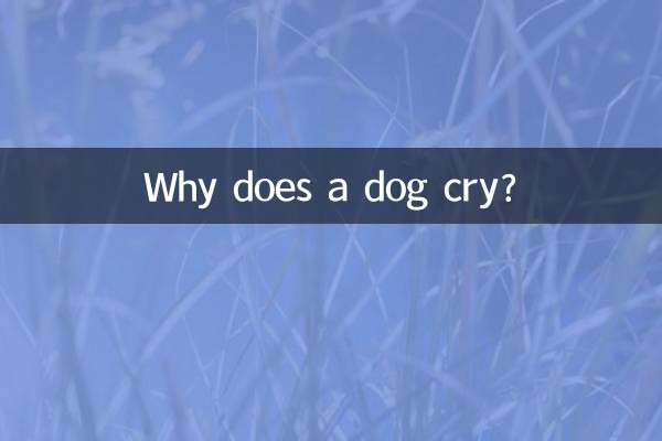 Warum weint ein Hund?