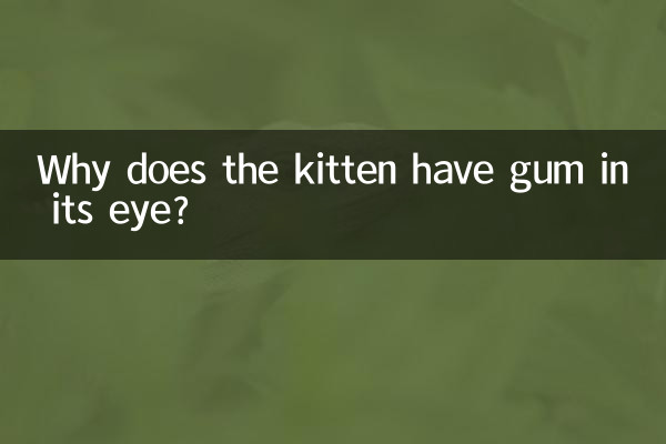 Why does the kitten have gum in its eye?