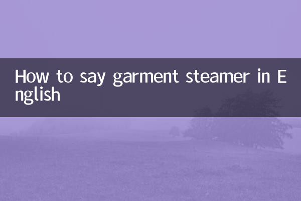 How to say garment steamer in English