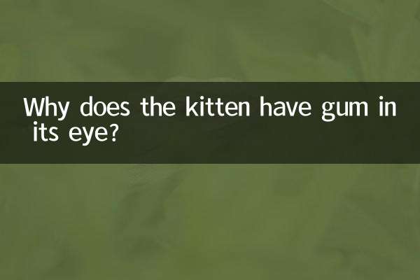 Why does the kitten have gum in its eye?