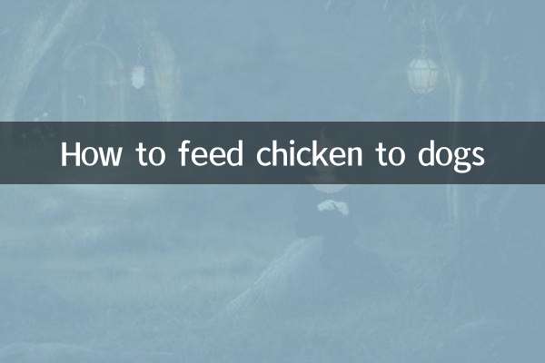 강아지에게 닭고기를 먹이는 방법