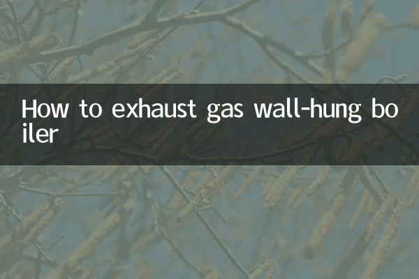 वॉल-हंग बॉयलर से गैस कैसे निकालें