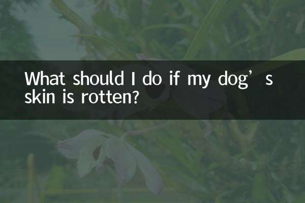 اگر پوست سگم پوسیده است چه کار کنم؟