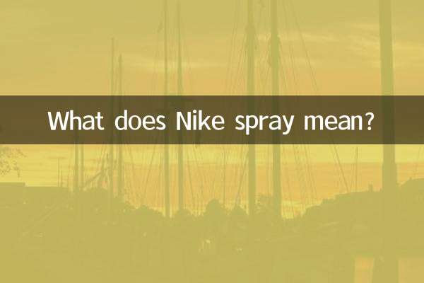 耐克噴是什麼意思