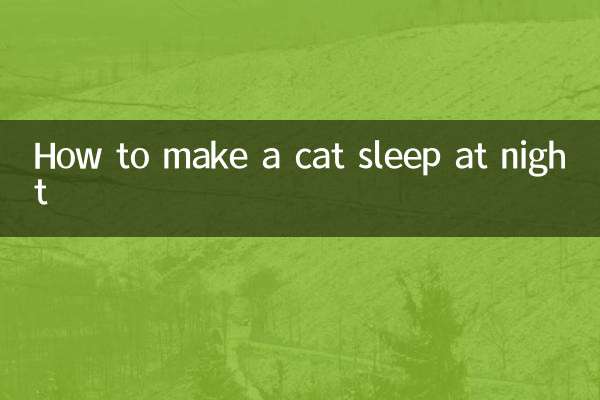 چگونه یک گربه را در شب بخوابانیم