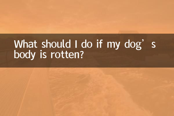 강아지 몸이 썩었다면 어떻게 해야 하나요?