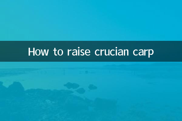 붕어 키우는 방법