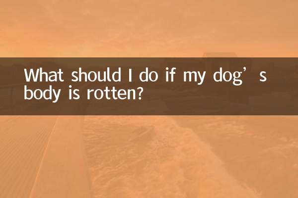 강아지 몸이 썩었다면 어떻게 해야 하나요?