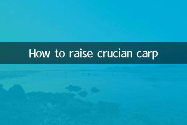 كيفية تربية مبروك الدوع