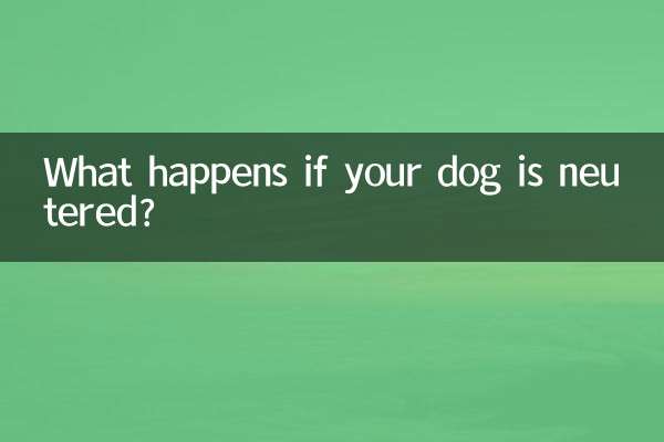 강아지 중성화수술을 하면 어떻게 되나요?
