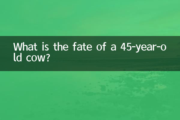 Какова судьба 45-летней коровы?