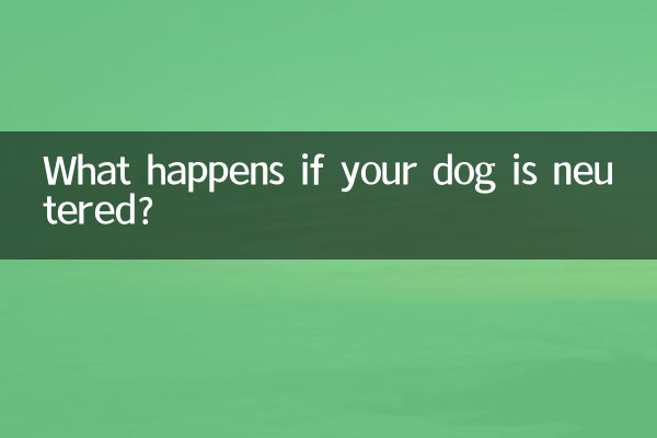 O que acontece se seu cachorro for castrado?