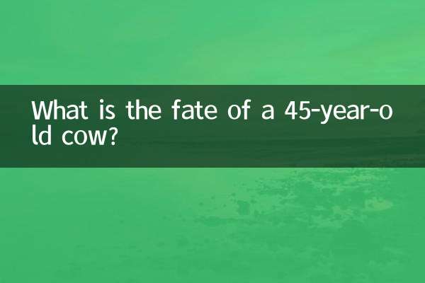 Qual è il destino di una mucca di 45 anni?