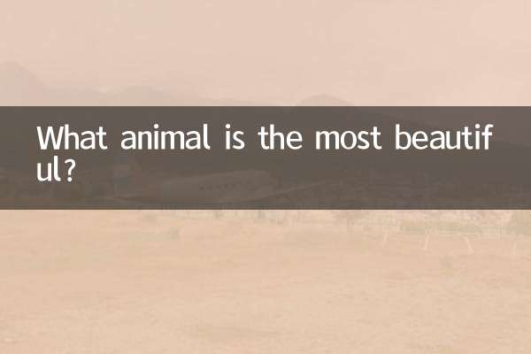 Welches Tier ist das schönste?