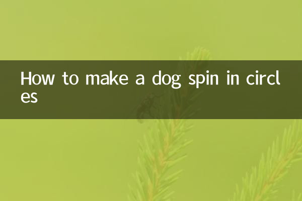 Come far girare in tondo un cane
