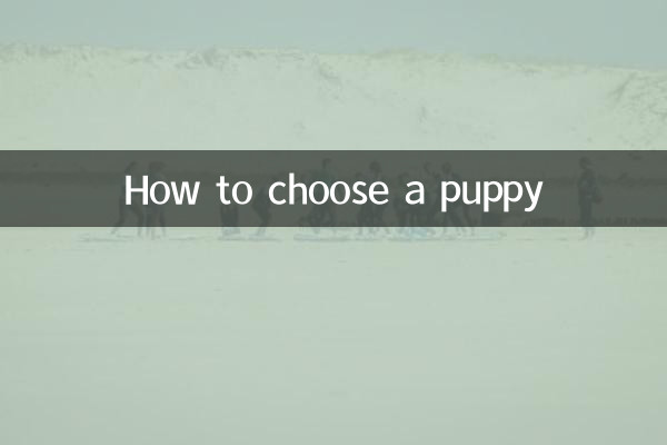 Как выбрать щенка