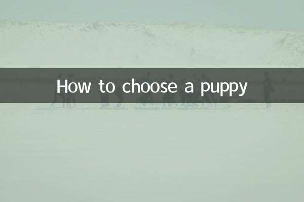 كيفية اختيار جرو