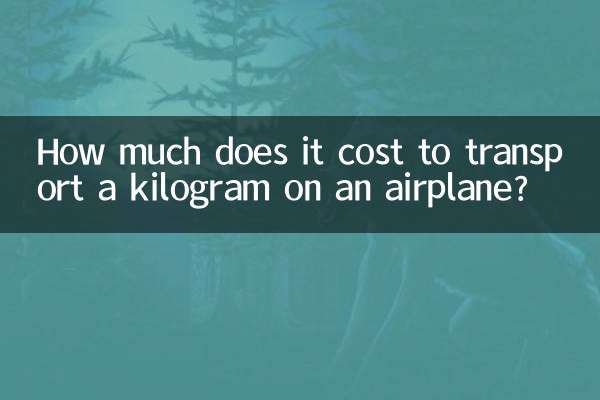 飛行機で1キロ運ぶのにいくらかかりますか?