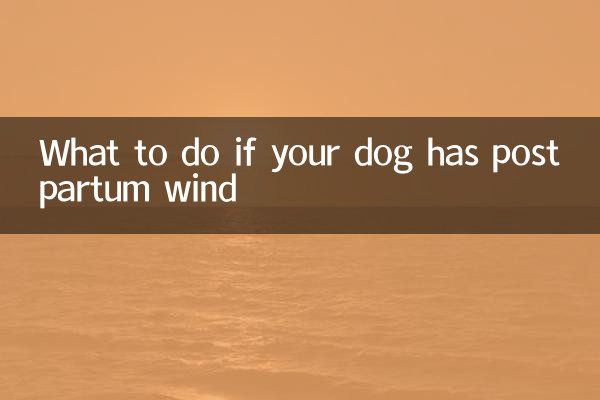 O que fazer se sua cadela tiver vento pós-parto