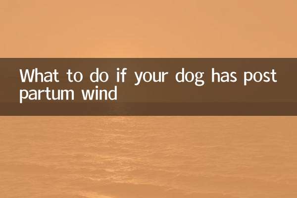 Que faire si votre chien a des vents post-partum