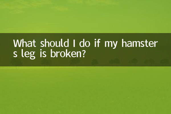 仓鼠脚断了怎么办