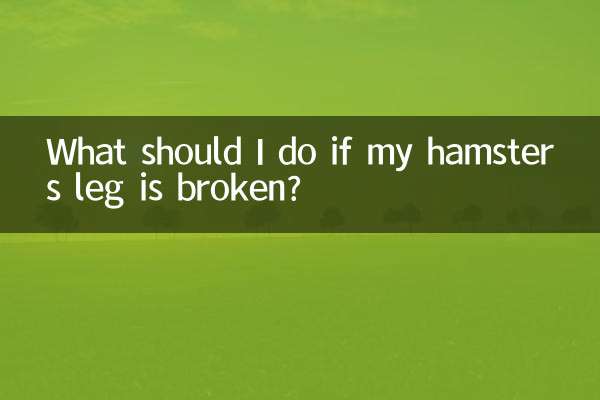 اگر میرے ہیمسٹر کی ٹانگ ٹوٹ گئی تو مجھے کیا کرنا چاہئے؟