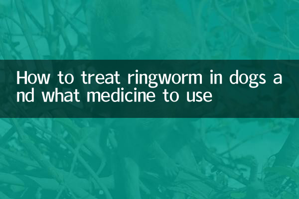 Come trattare la tigna nei cani e quale medicinale usare