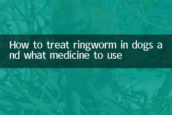 Come trattare la tigna nei cani e quale medicinale usare