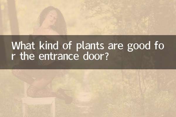 入户门放什么植物好