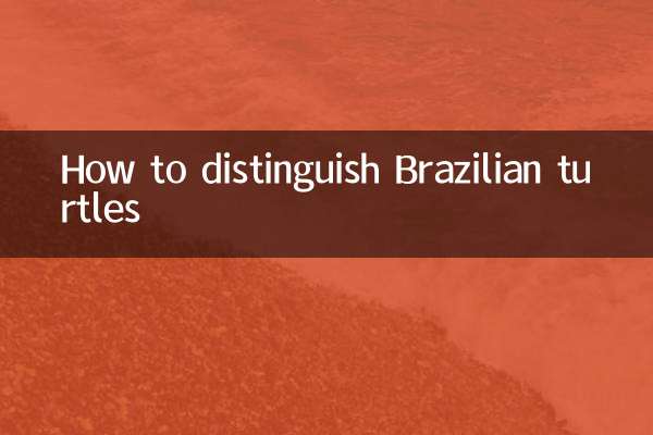 巴西龟怎么区分