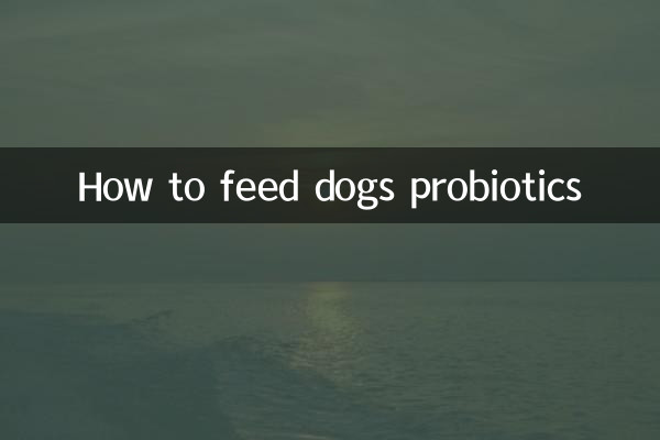 Cómo alimentar a los perros con probióticos