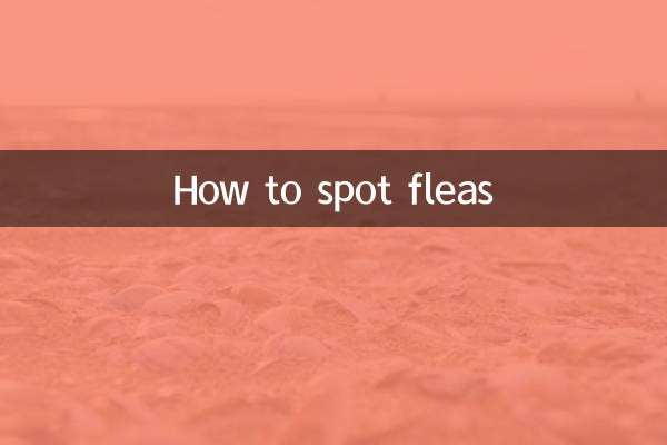 Como detectar pulgas