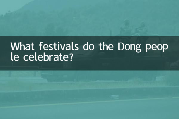 ڈونگ لوگ کون سے تہوار مناتے ہیں؟