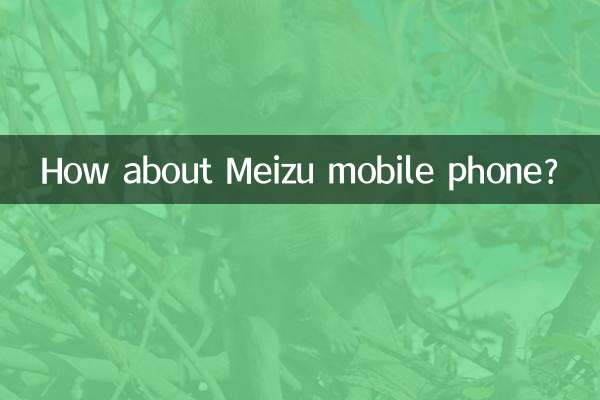 How about Meizu mobile phone?