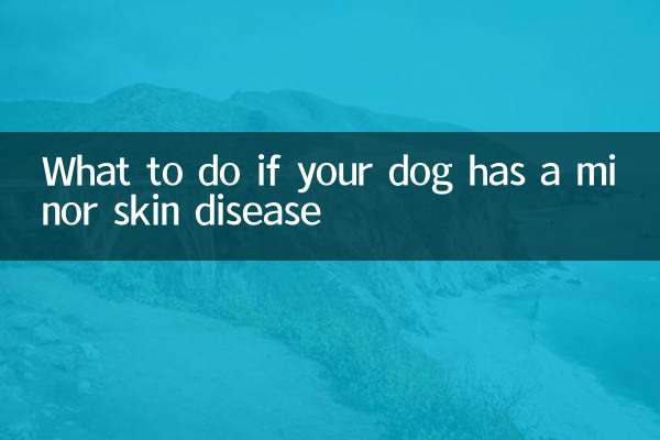 Que faire si votre chien a une maladie cutanée mineure