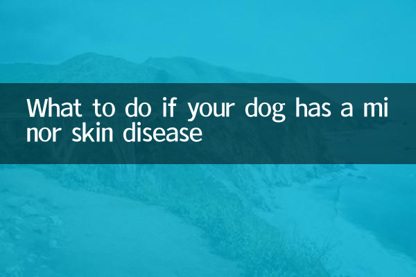 Que faire si votre chien a une maladie cutanée mineure