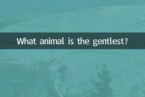 Какое животное самое нежное?