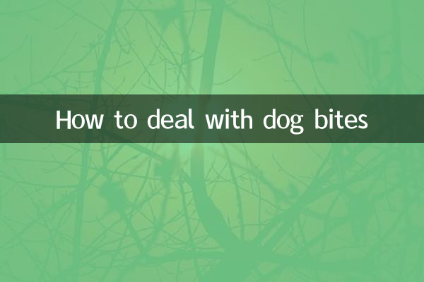 نحوه برخورد با گاز گرفتن سگ