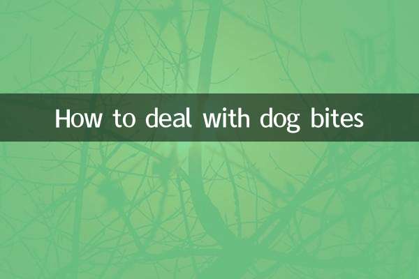 Como lidar com mordidas de cachorro