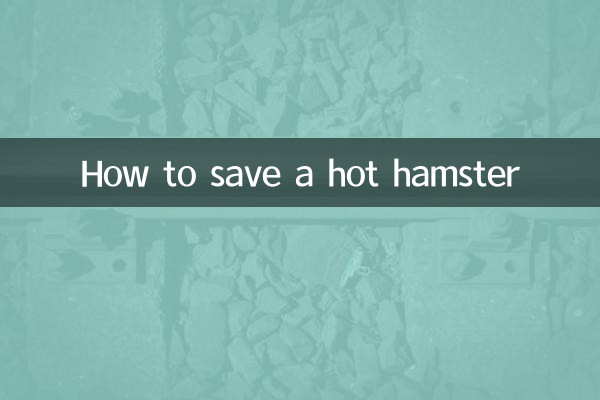 Wie man einen toten Hamster rettet