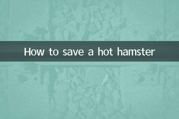 Wie man einen toten Hamster rettet