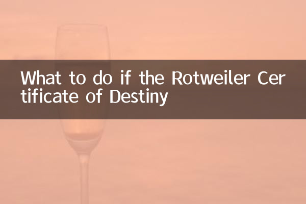 Qué hacer si el Certificado de Destino de Rotweiler