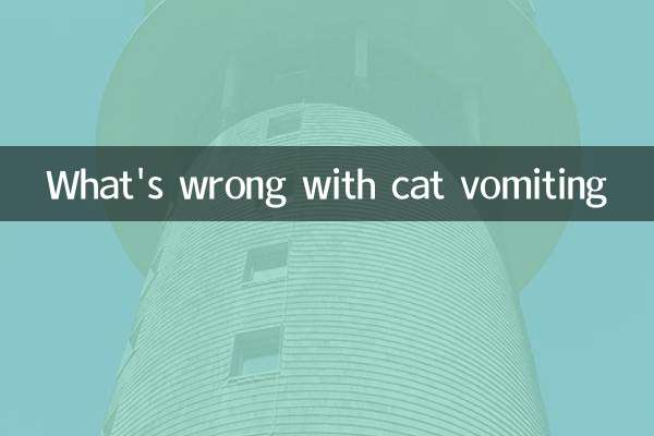 What happened when the cat vomited?