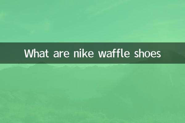 ¿Qué son los zapatos Nike Waffle?