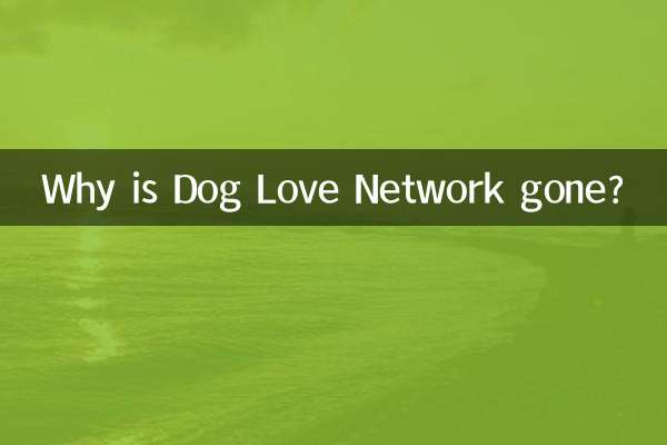 ¿Por qué desapareció Dog Love Network?