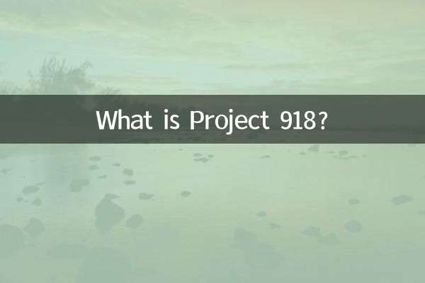 Что такое Проект 918?
